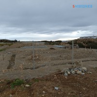IMG_20240131_073742